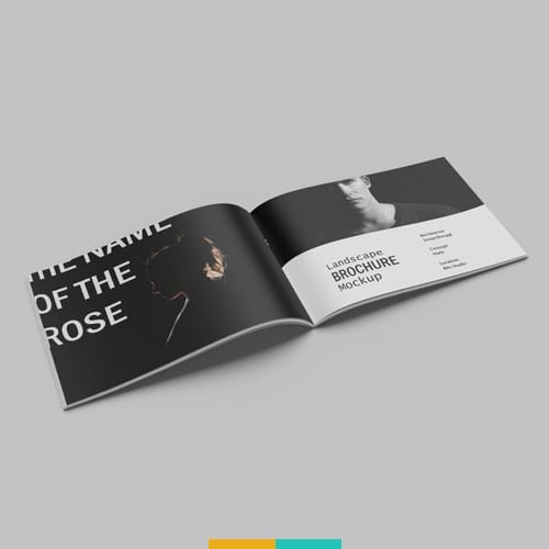 موکاپ کاتالوگ