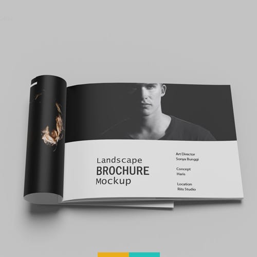 موکاپ کاتالوگ