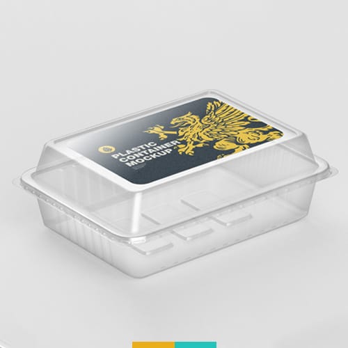 موکاپ ظرف خالی غذا