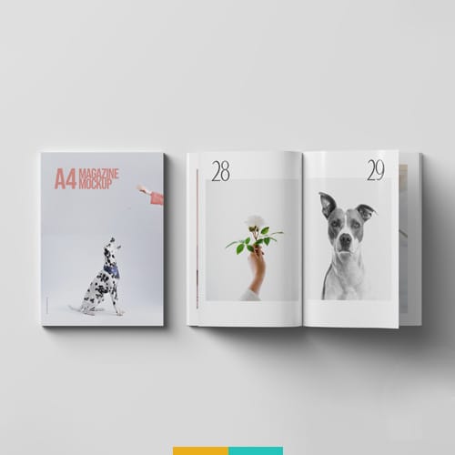 موکاپ مجله باز و بسته