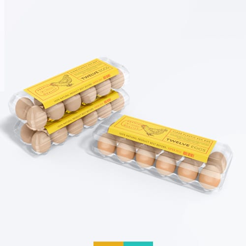 موکاپ شونه تخم مرغ