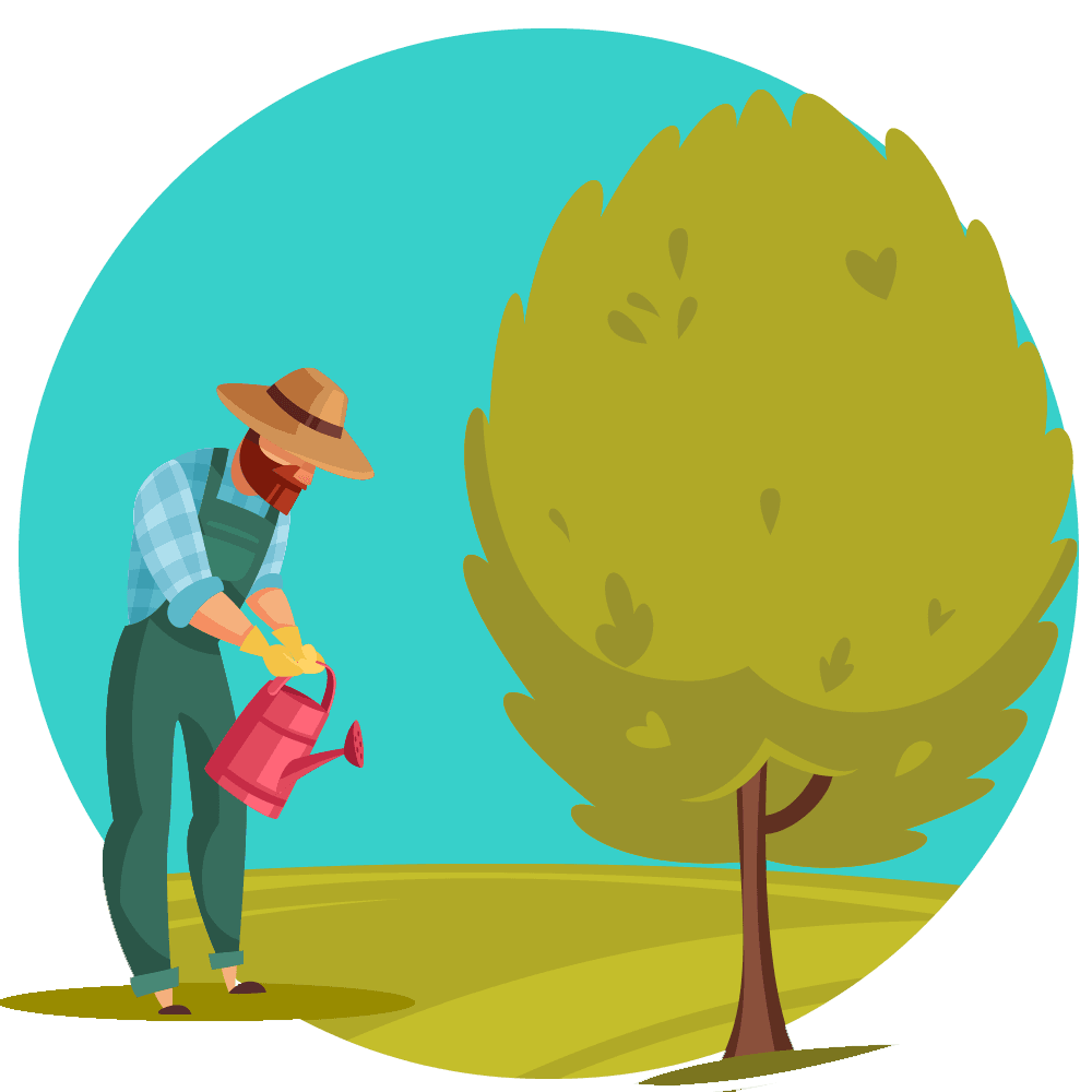 روز مرگ یک گرافیست