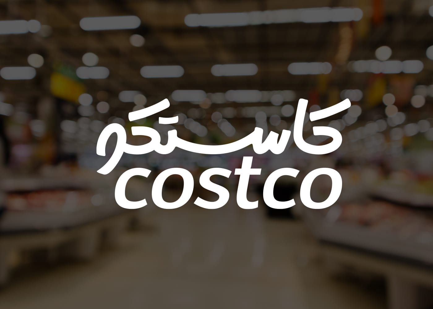 پرزنت طراحی لوگو کاستکو استودیو مهدی ثمن گویی