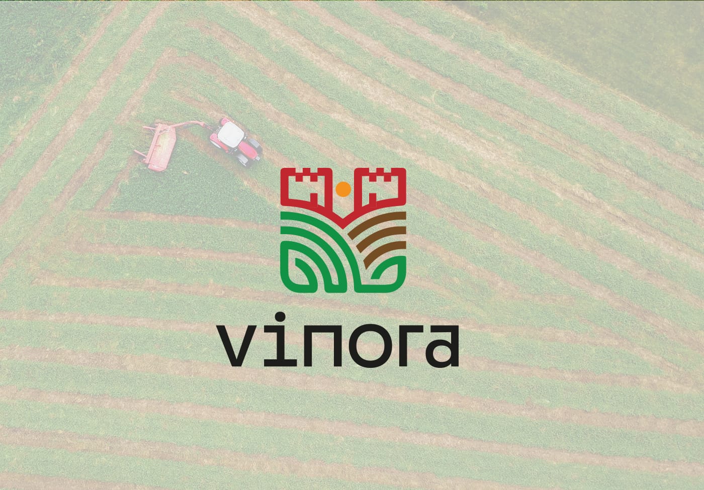 طراحی لوگو وینورا استودیو مهدی ثمن گویی