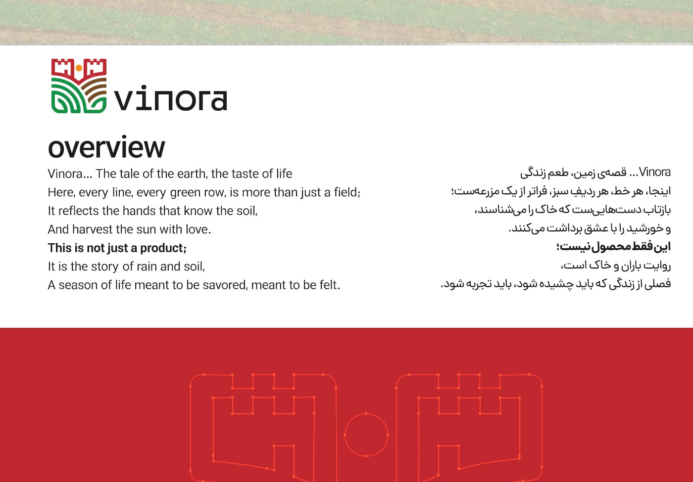 طراحی لوگو وینورا استودیو مهدی ثمن گویی